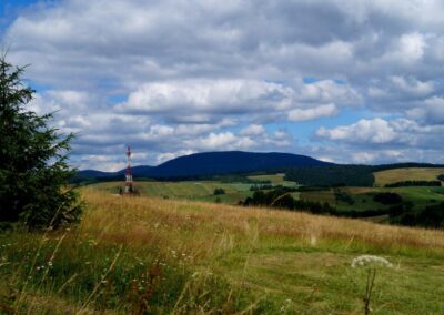 Okolice Villi - Tylicz