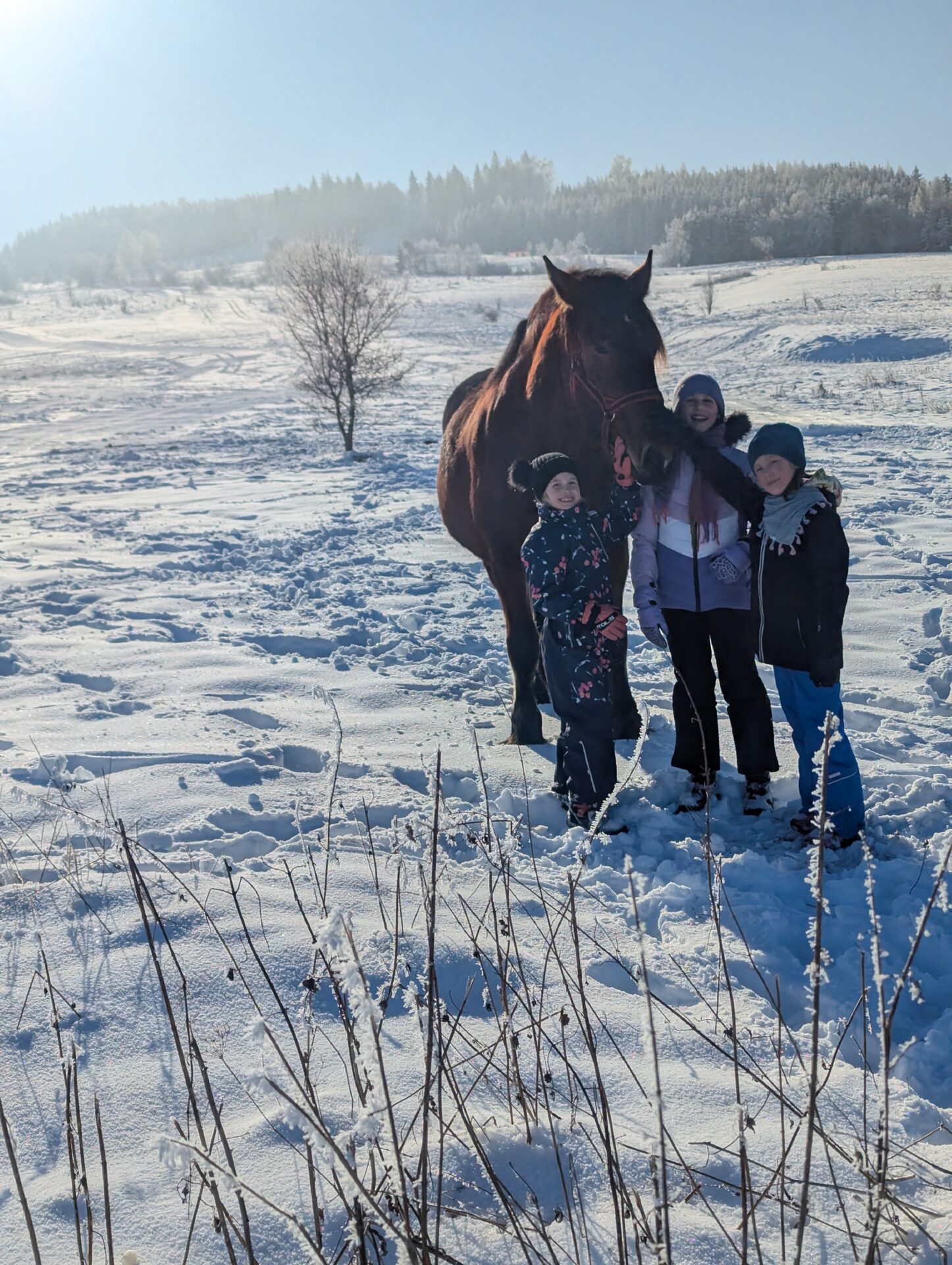 Zimowe zabawy na polanie w Tyliczu